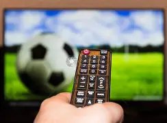 亚乒赛男单,季军争夺战,林诗栋挑战,球天下体育,体育赛事资讯,足球赛事信息,篮球赛事动态,体育赛事平台