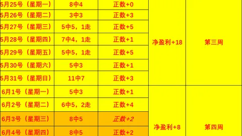 辛纳温网战绩再创新高：13连胜迈向大满贯男单决赛巅峰